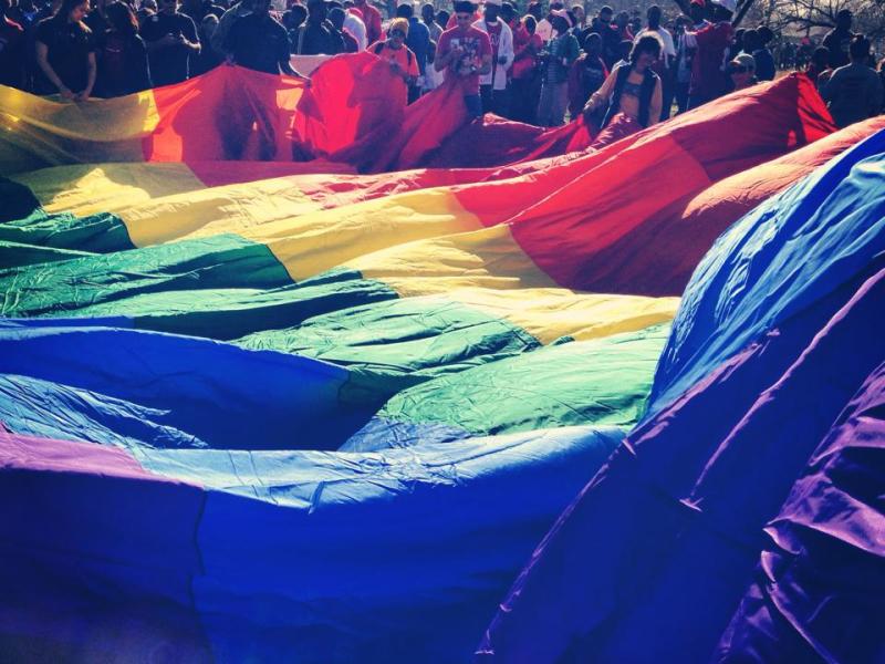 LGBT community supporters carry a large rainbow flag during the 2014 MLK Day march. David Jordan Cisneros of GetEqual Texas.