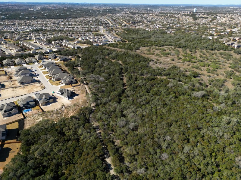 Homes in the CIbolo Canyons neighborhood surrounds a pocket of land that was declared a protected habitat for the endangered migratory Golden-cheeked warbler.