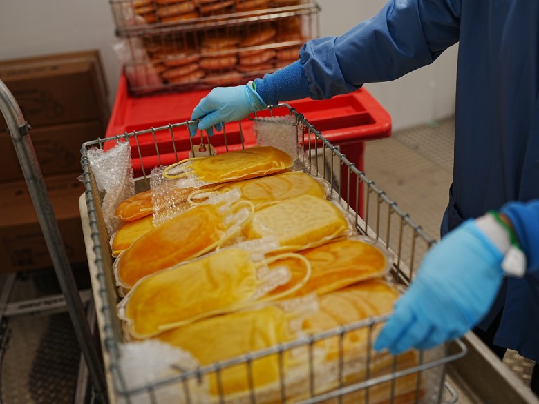 Bags of platelets are being placed in a freezer after being processed.