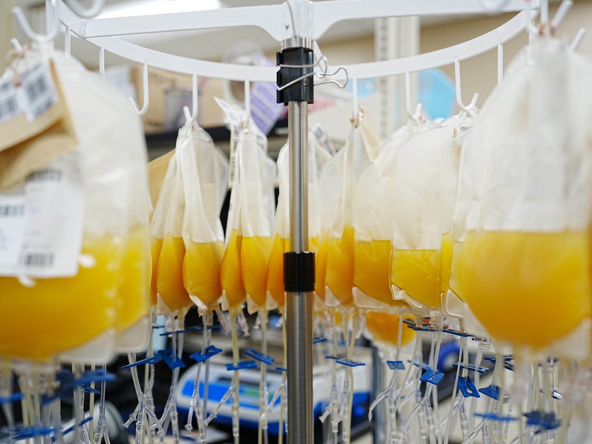 Bags of platelets are being processed at South Texas Blood and Tissue.