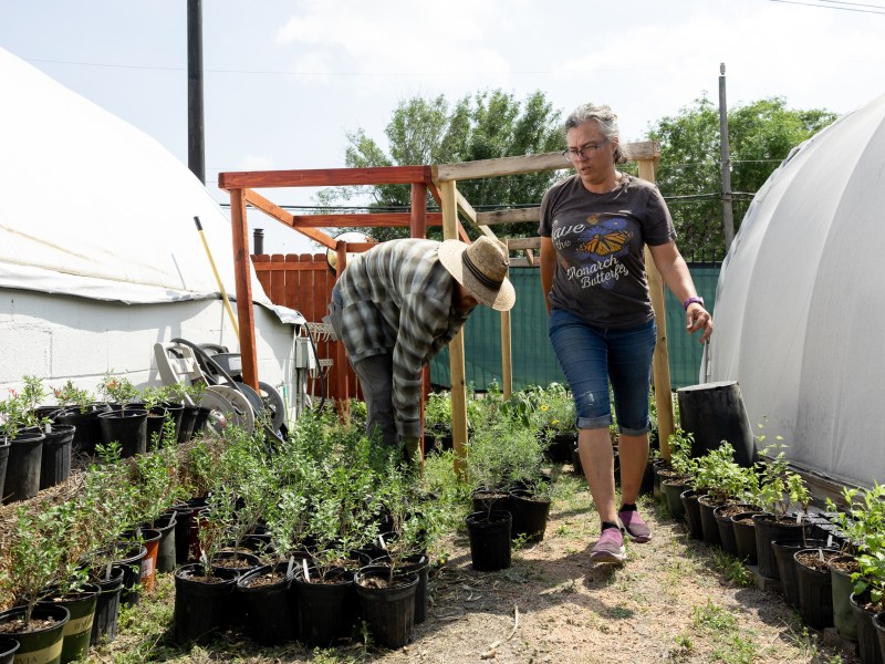 Drake White, founder of The Nectar Bar, arranges plants ahead of opening day of the native plant nursery.