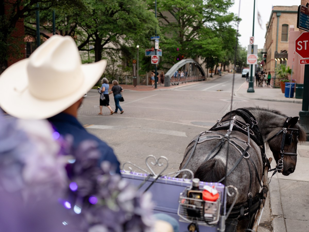 Luis Garcia, driver at Yellow Rose Carriage Company, drives a horse-drawn carriage downtown.