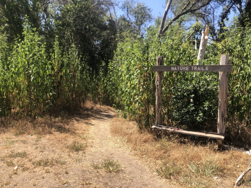 The entrance of the North Trail, near the Alamo Heights Little League fields.