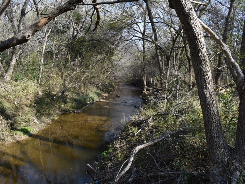 The Salado Creek flows relatively clear along some sections of the greenway.