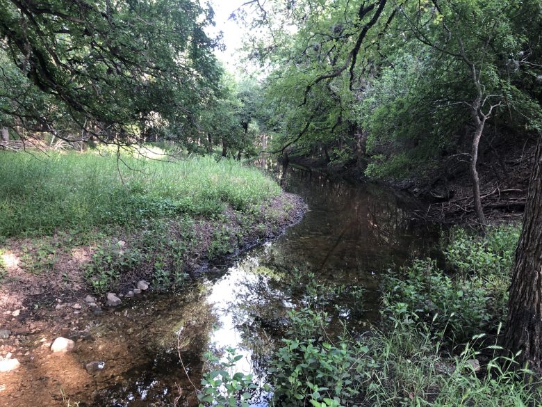 Leon Creek is a series of pools mixed with dry spring beds as it traverses the Edwards Aquifer Recharge Zone at Bamberger Nature Park.