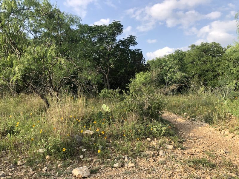 Bamberger Nature Park includes more than 2 miles of dirt singletrack trails, mostly used by mountain bikers.