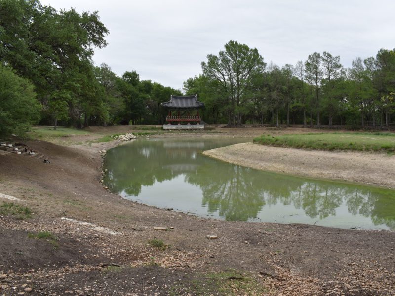 The pond at Denman Estate Park remains low after a year of drought, despite recent rains.