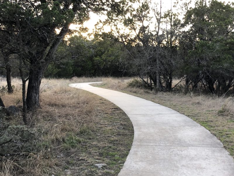 White-tailed deer wander through the grasses along the Gold Canyon Park trails.