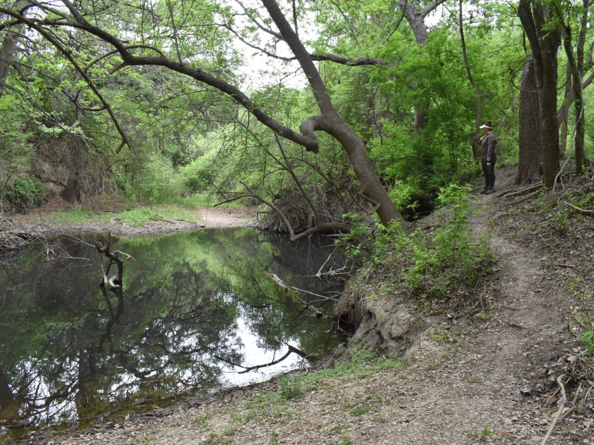 The Trailist: Hendrick Arnold Nature Park features shaded trails along the Medina River 