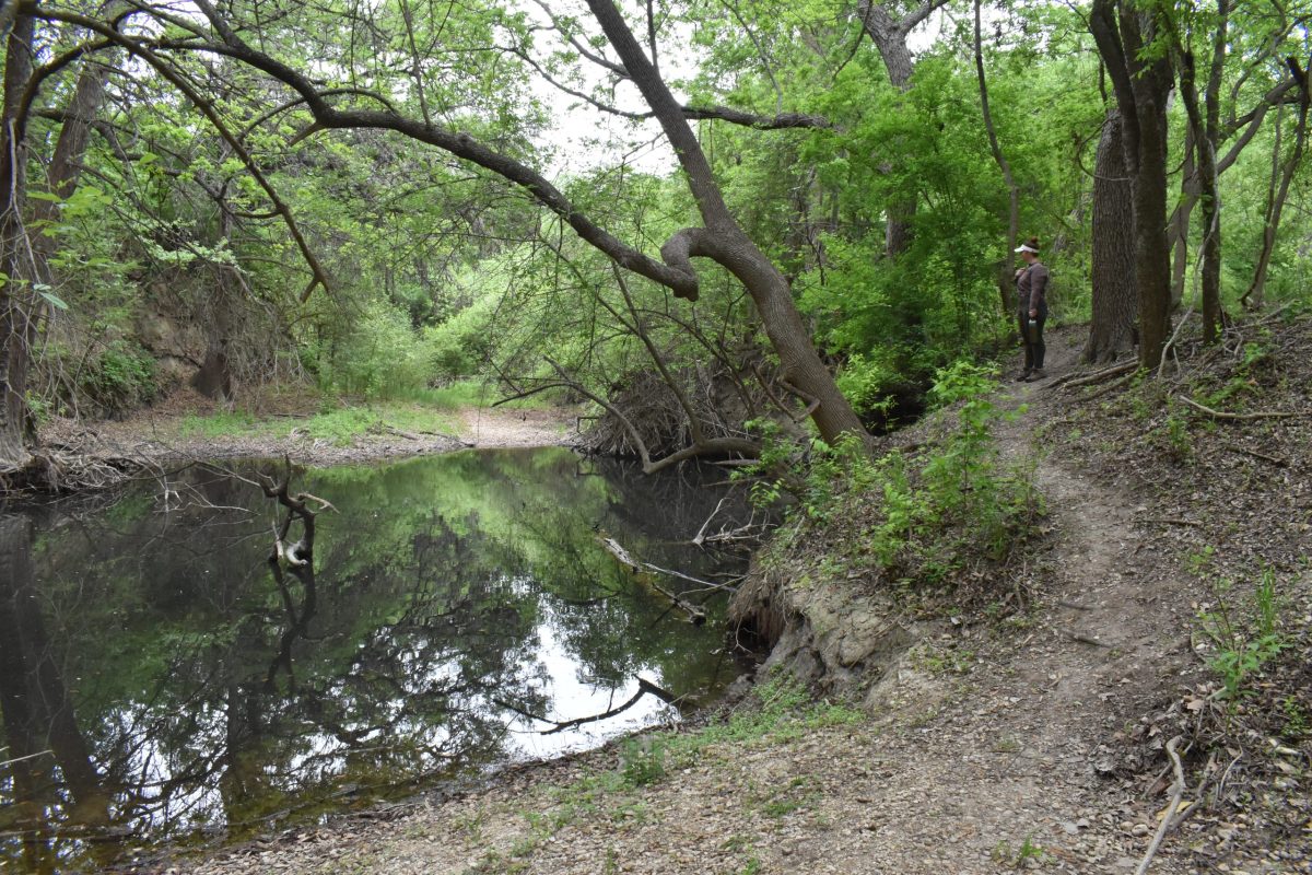 Jess Mrozinski stands along the bank of the Medina River off of the Medina Trail.