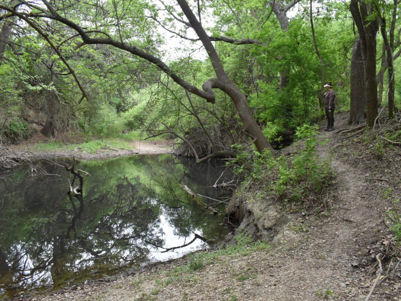 Jess Mrozinski stands along the bank of the Medina River off of the Medina Trail.