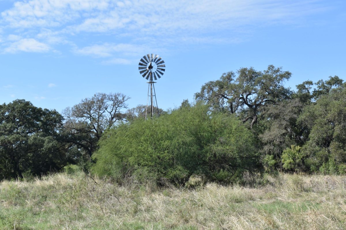 A windmill stands in the center of Meadow Loop at Walker Ranch Historic Park, a reminder of its long history of livestock raising extending back to the Spanish Empire.