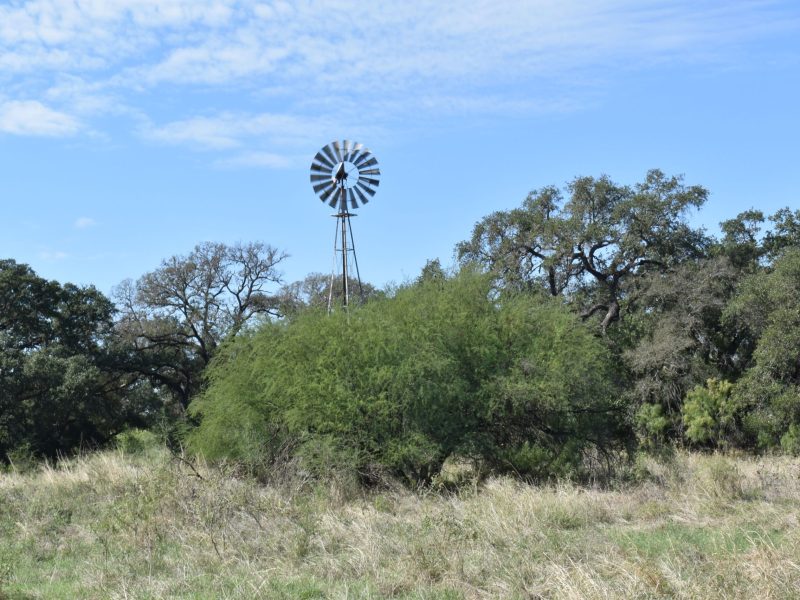 A windmill stands in the center of Meadow Loop at Walker Ranch Historic Park, a reminder of its long history of livestock raising extending back to the Spanish Empire.