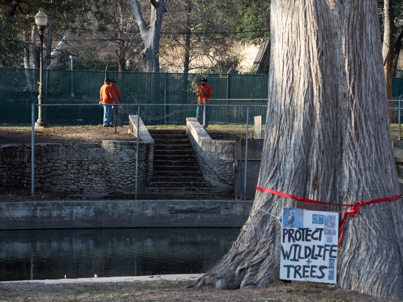 Employees with the city clap wooden blocks together to deter birds from nesting in trees in Brackenridge Park. They say this is part of an effort to reduce bird droppings in the area, which is near a footpath and playground.