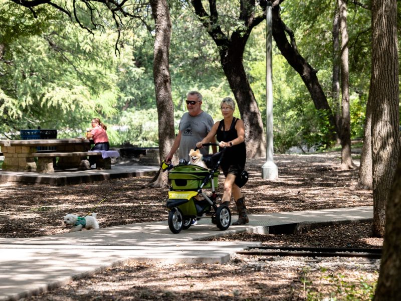 A man and woman walk their dogs through Brackenridge Park.