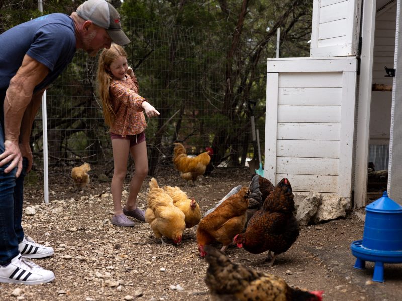 Dan Kachtik's daughter, Scarlet, 7, has named all of the family's 25 hens and three roosters.