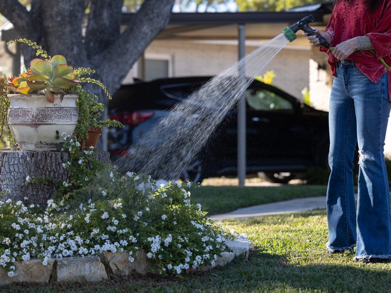 Rebecca Keffer waters her garden and the parts of her lawn that were scorched by the summer heat Sunday.