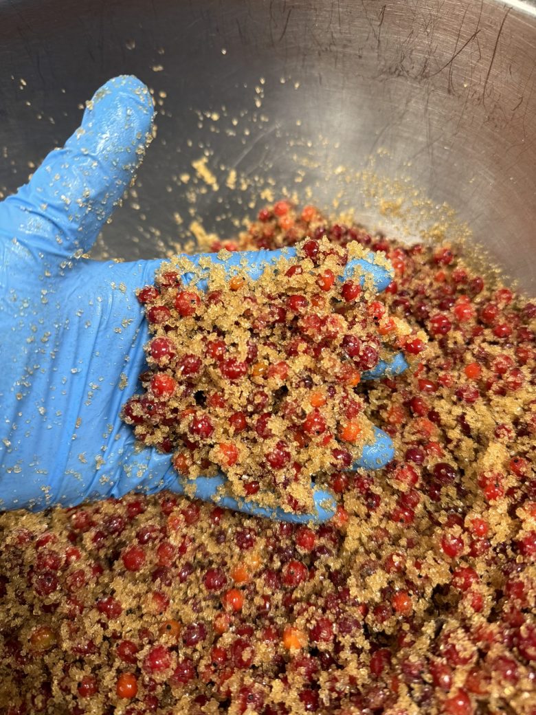 Agarita berries covered in unrefined sugar as part of the lacto fermentation process at Pharm Table. “They’ll be ready at the end of August.”