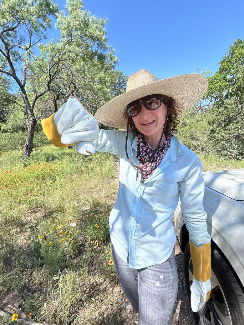 Chef and Pharm Table owner shows off a Barberry Webworm while harvesting agarita berries in the Texas Hill Country. Note hefty elbow-length gloves.