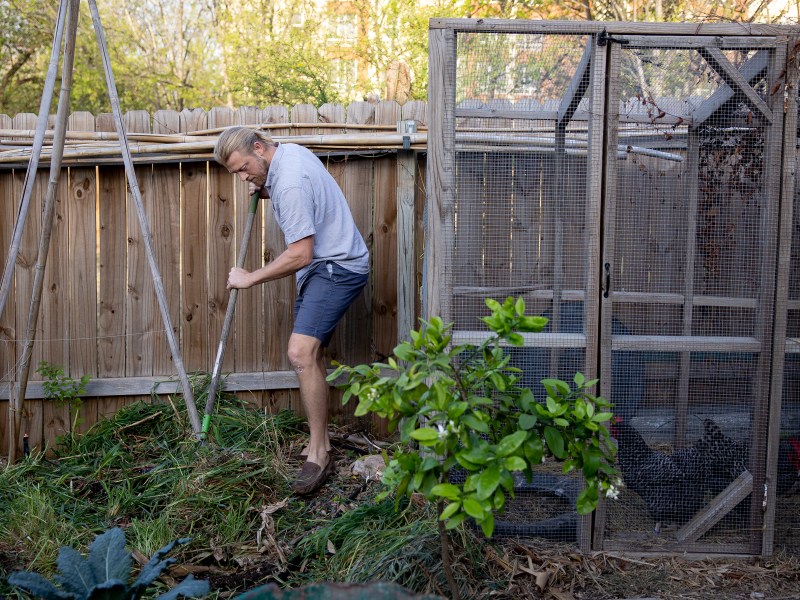 Jeremy Batsche tills cereal ryegrass into his backyard garden on Saturday.