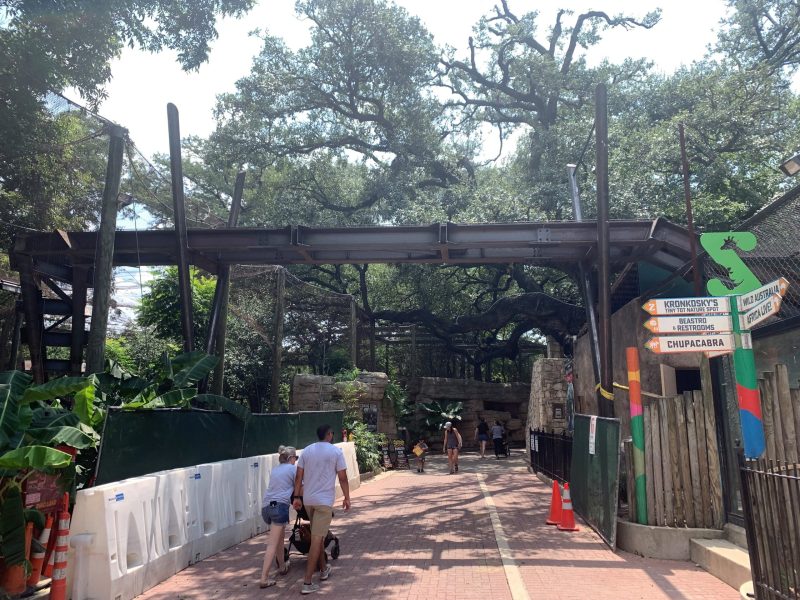 Structural beams are in place for the new Pantera Walk at the San Antonio Zoo. The Pantera Walk is the main feature offered by a new exhibit called Neotropica.