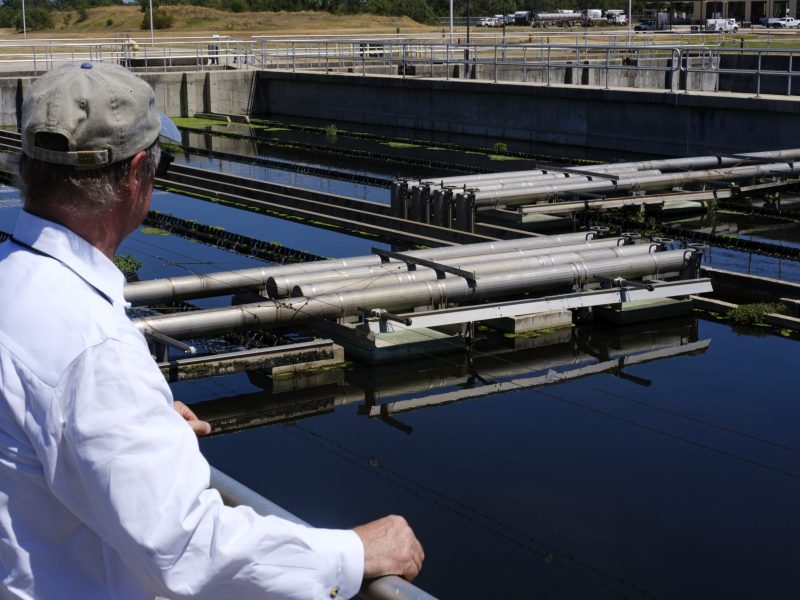 Senior Data Analyst Gregg Eckhardt overlooks water passing through a clarifier at the SAWS Steven M. Clouse Water Recycling Center. Buckwheat and other plant growth present at this stage is considered a sign that the water is now toxin free.