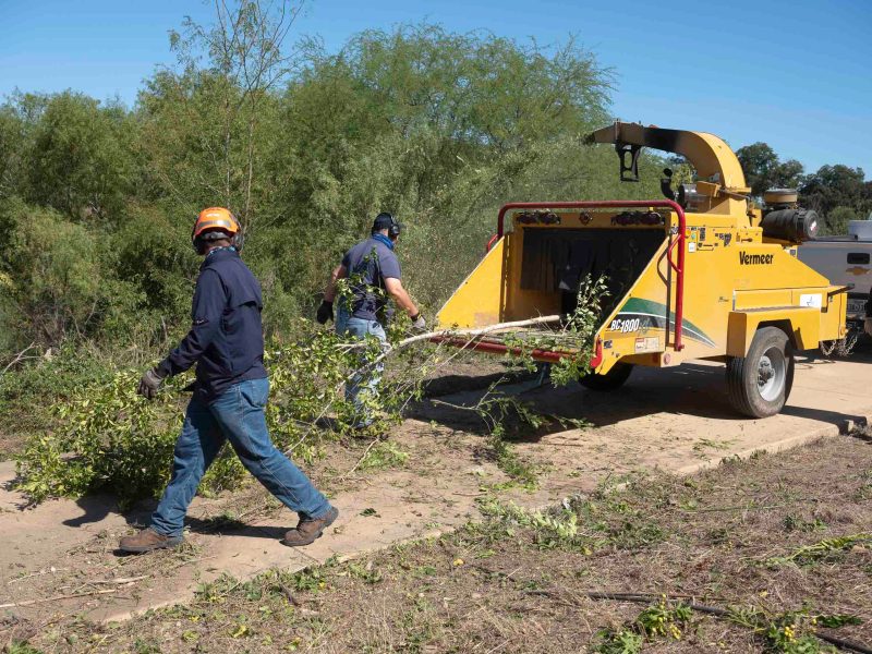 San Antonio River Authority crews remove and mulch trees near the bank of the San Antonio River along Mission Road near Concepcion Park.