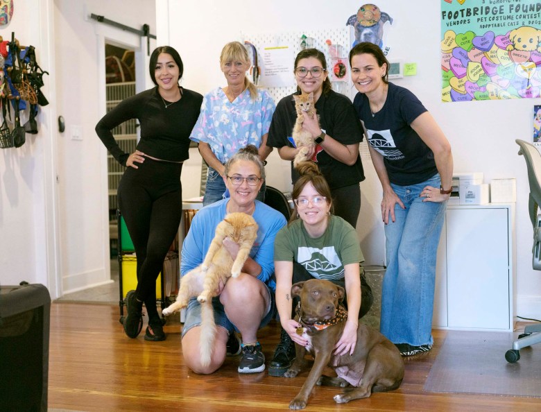 Footbridge Foundation staff stand together for a group photograph in their Southtown offices.