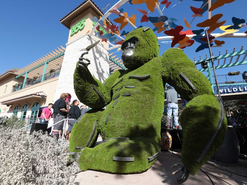 The San Antonio Zoo celebrates the opening of the new front entrance on Friday.