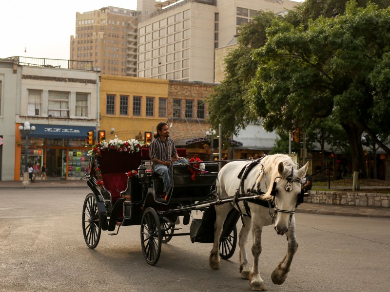 Horses and carriages park and transport customers on Crockett Street.