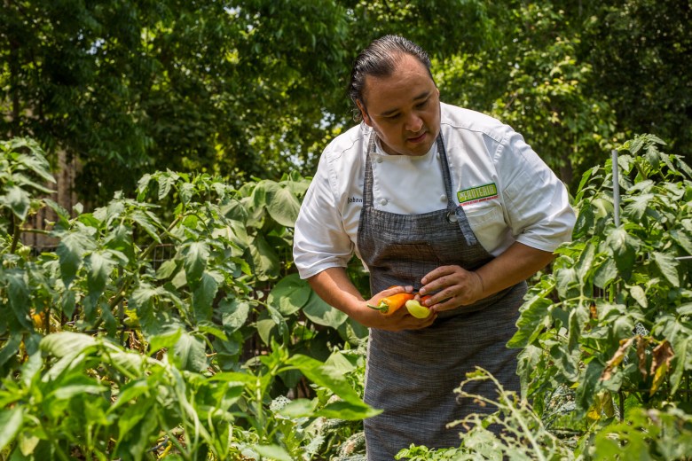 Chef Johnny Hernandez picks produce from his home garden. Photo by Scott Ball.