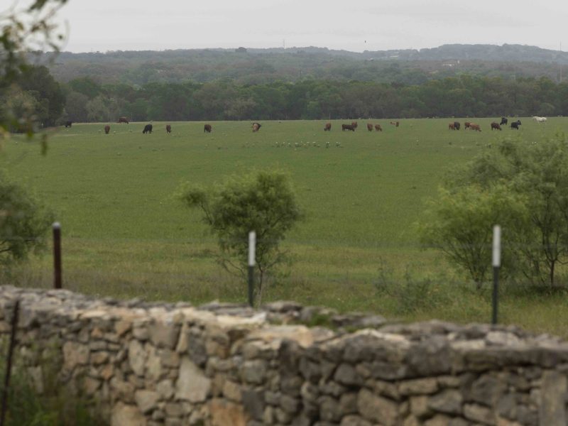 Property belonging to Scott Gruendler is under threat following a current plan to route wastewater through conservation property in north Bexar County.