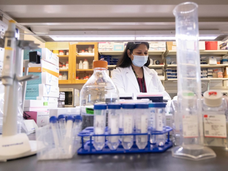 Riti Sharan works as a staff scientist at Texas Biomedical Research Institute.